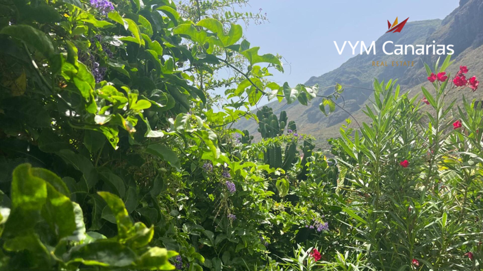 Image No.21-Finca de 7 chambres à vendre à Tenerife