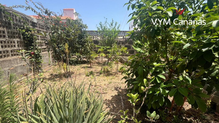 Image No.3-Finca de 7 chambres à vendre à Tenerife