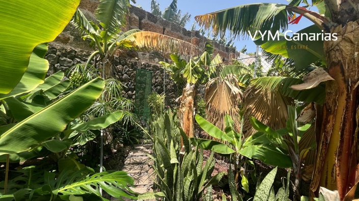 Image No.32-Finca de 7 chambres à vendre à Tenerife