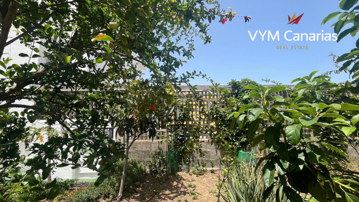 Image No.4-Finca de 7 chambres à vendre à Tenerife