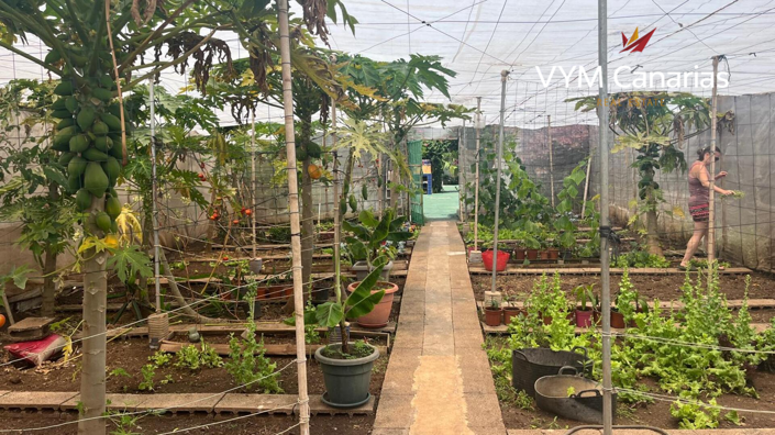 Image No.9-Finca de 7 chambres à vendre à Tenerife