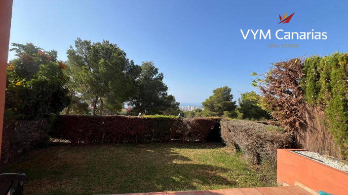 Image No.1-1 Bed Apartment for sale