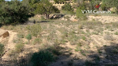 Terre de 1 chambre à vendre à Alicante