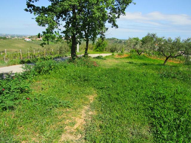 Image No.3-Land for sale