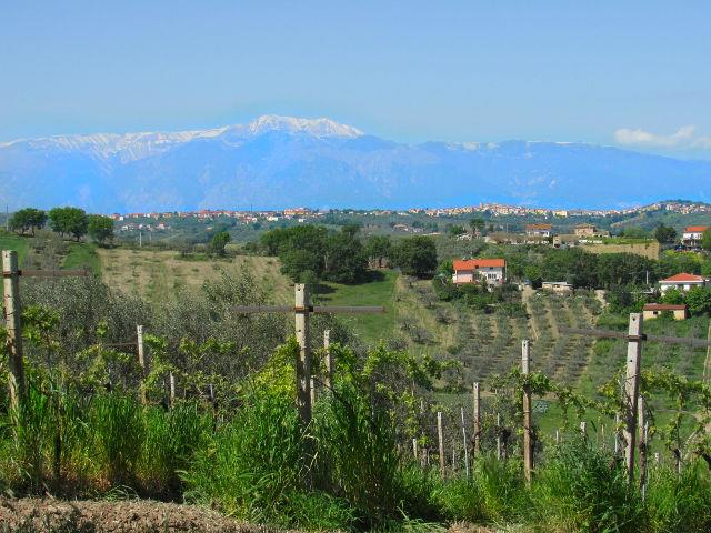 Image No.4-Land for sale