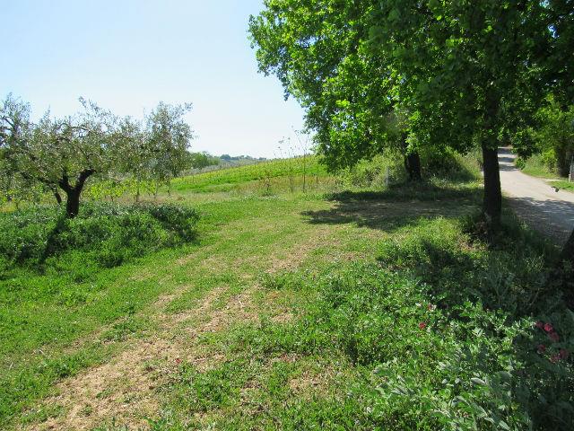 Image No.9-Land for sale