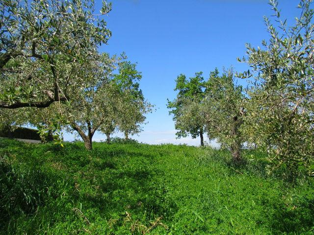 Image No.10-Land for sale