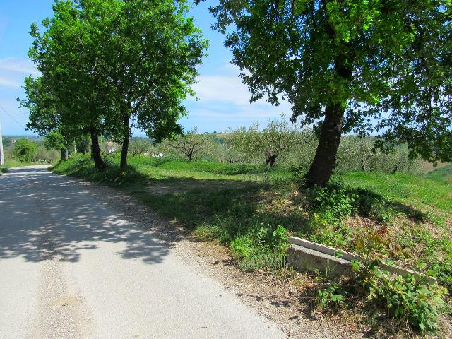 Image No.11-Land for sale