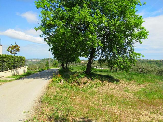 Image No.12-Land for sale