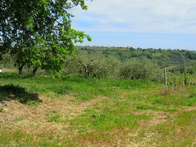 Image No.13-Land for sale