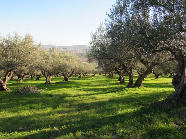 Image No.5-4 Bed Cottage for sale