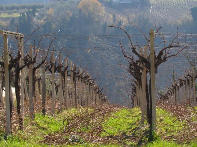 Image No.6-9 Bed Farmhouse for sale