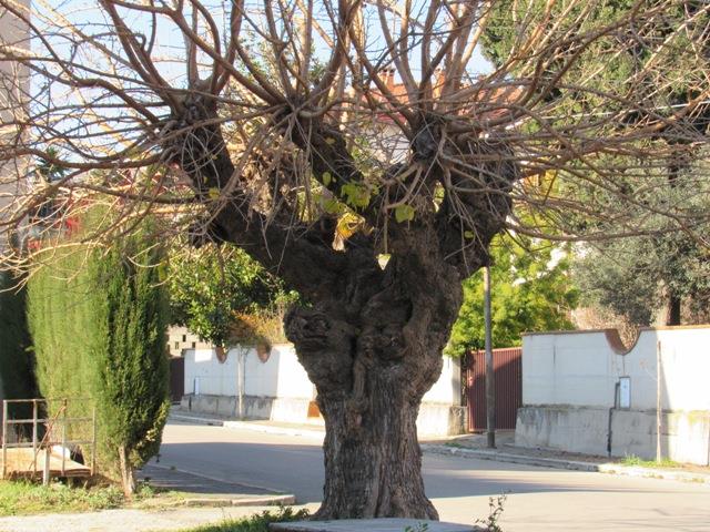 Image No.7-9 Bed Farmhouse for sale