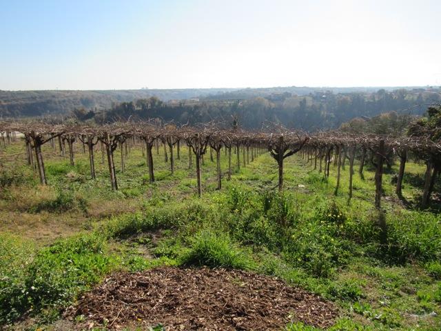 Image No.10-9 Bed Farmhouse for sale