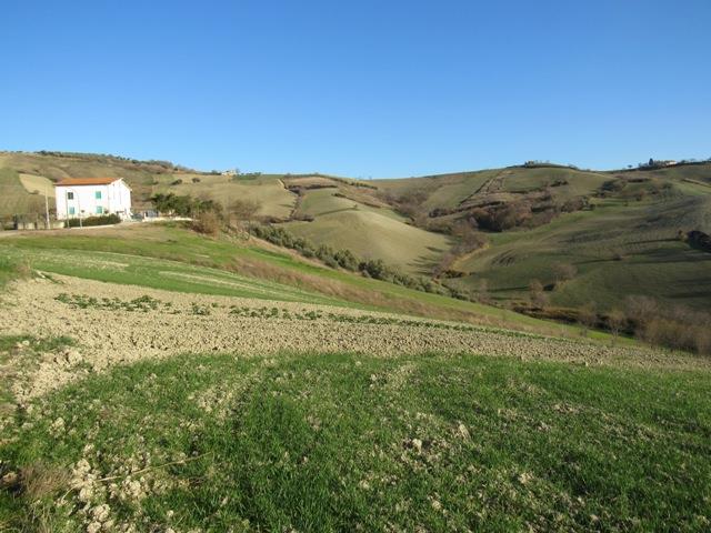 Image No.8-1 Bed Country House for sale