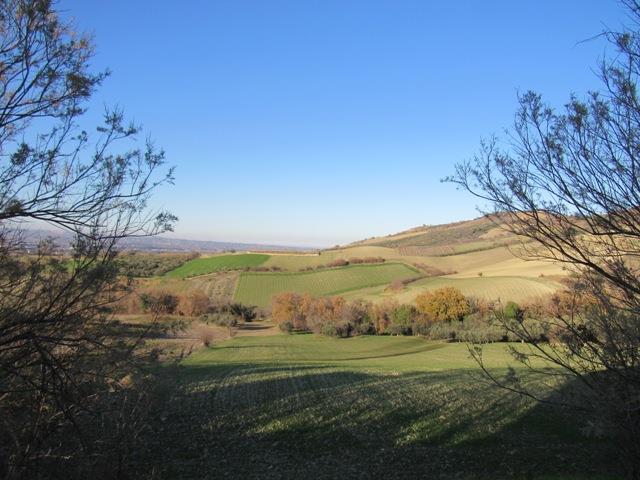 Image No.15-1 Bed Country House for sale