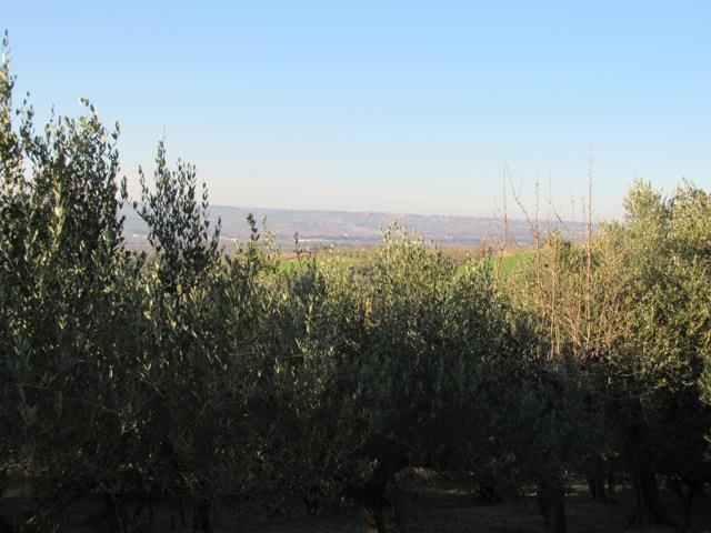 Image No.20-1 Bed Country House for sale