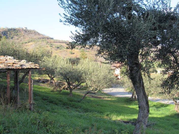 Image No.4-4 Bed Country House for sale