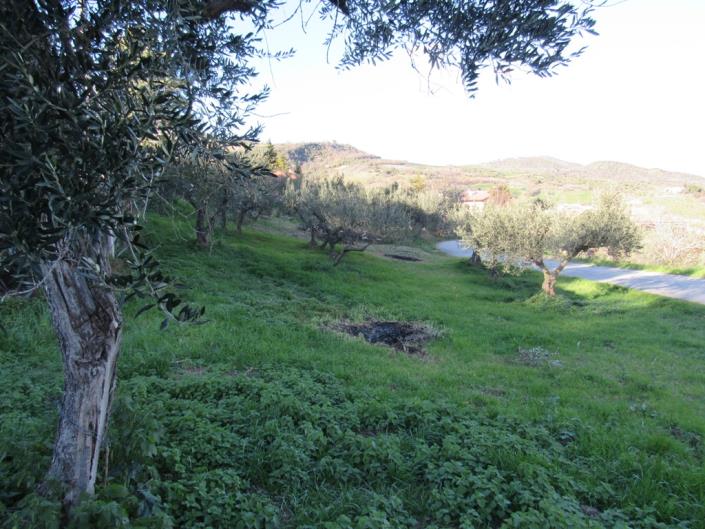 Image No.13-4 Bed Country House for sale