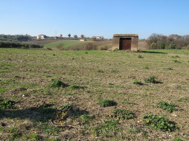 Image No.3-Flat for sale