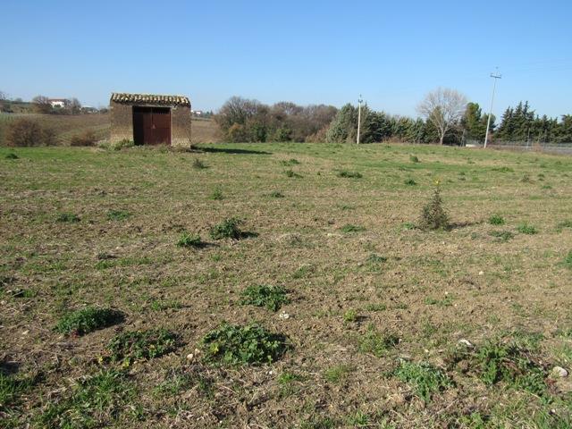 Image No.4-Flat for sale