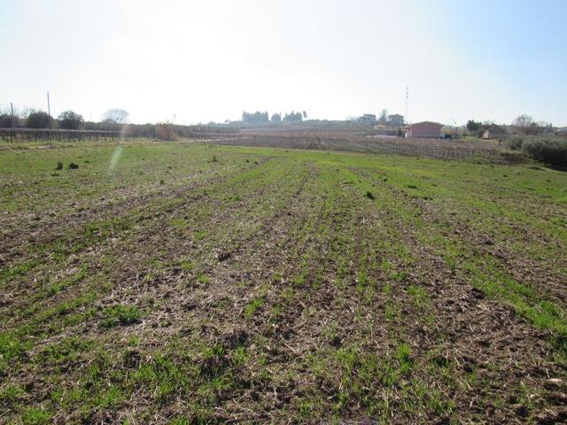 Image No.8-Flat for sale