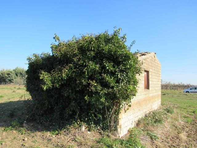 Image No.11-Flat for sale