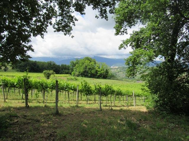 Image No.6-2 Bed Country House for sale