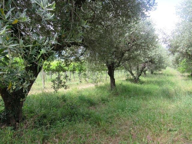 Image No.25-2 Bed Country House for sale