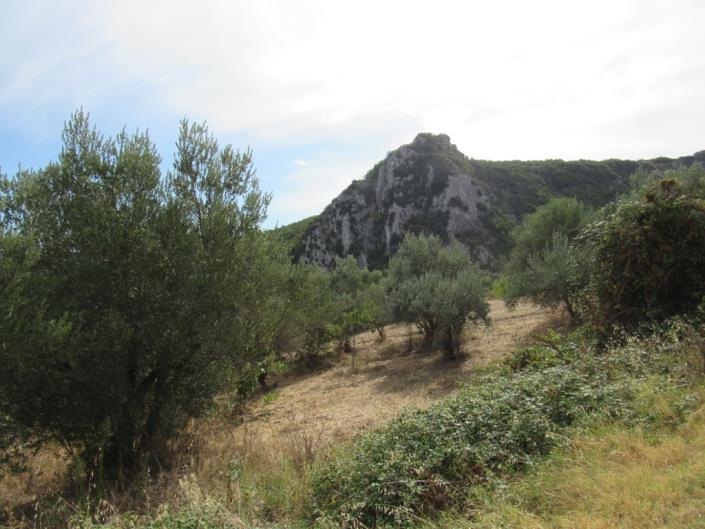 Image No.3-Land for sale