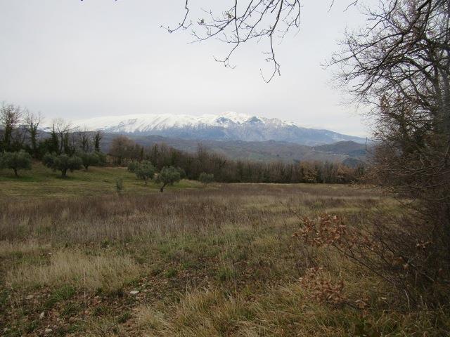 Image No.3-1 Bed Country House for sale