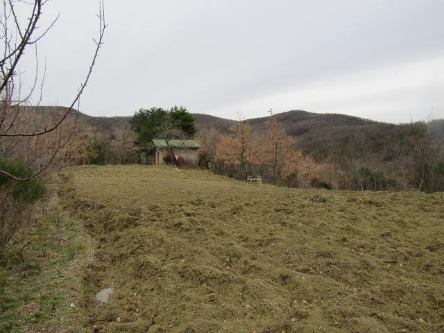 Image No.13-1 Bed Country House for sale