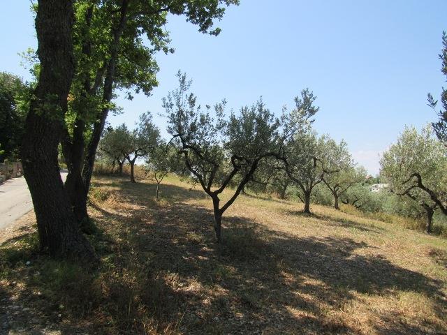 Image No.2-Land for sale