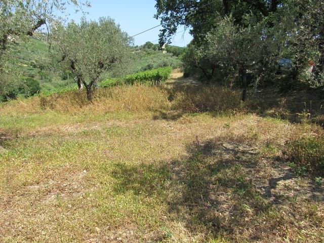 Image No.5-Land for sale