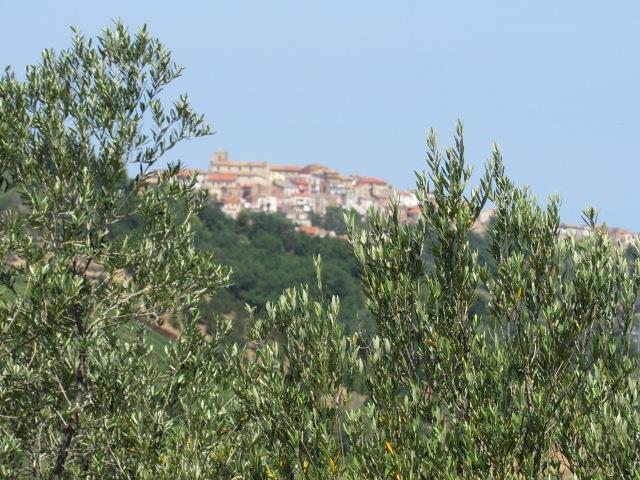 Image No.10-Land for sale