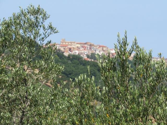 Image No.11-Land for sale