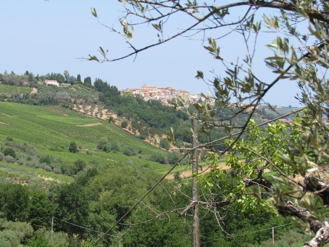 Image No.16-Land for sale