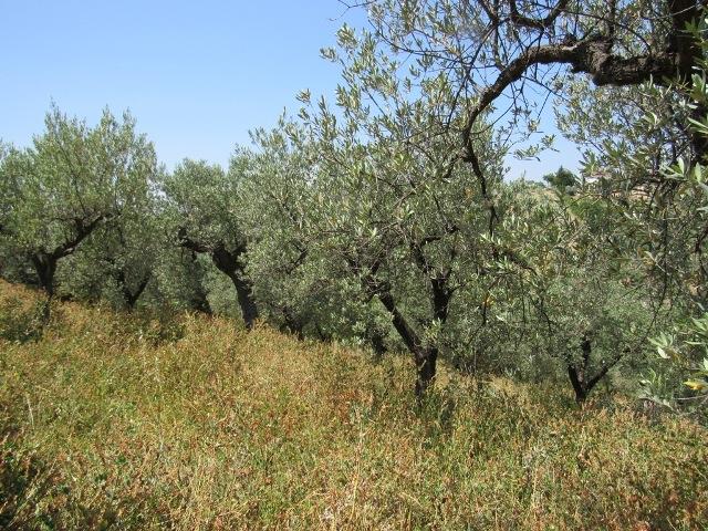 Image No.17-Land for sale