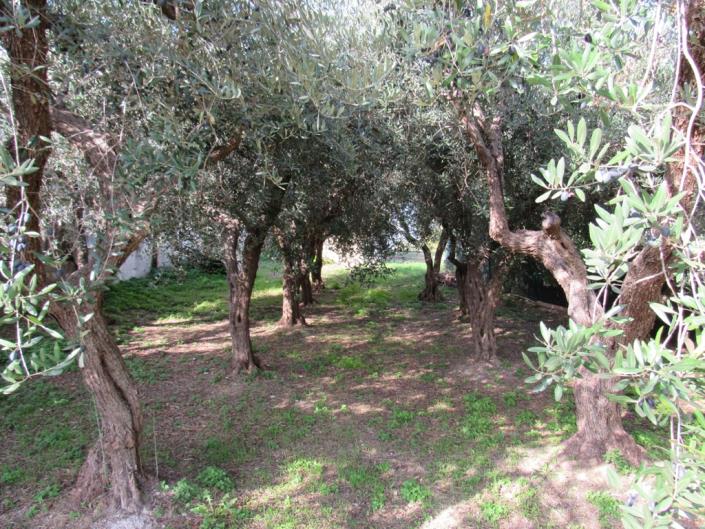 Image No.5-1 Bed Country Property for sale