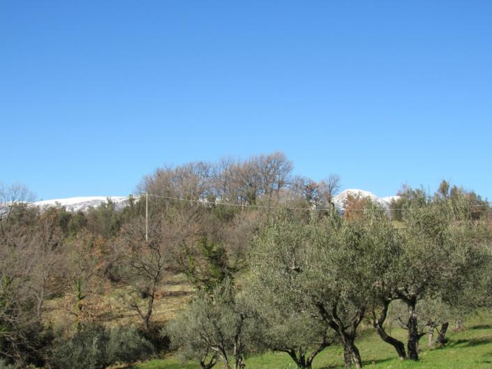 Image No.15-3 Bed Townhouse for sale