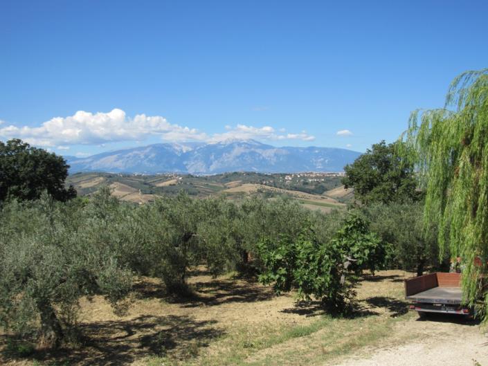 Image No.9-6 Bed Farmhouse for sale