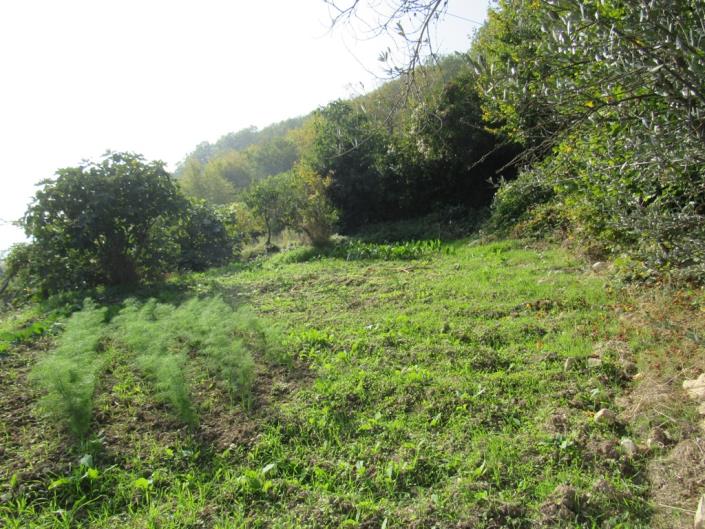 Image No.13-2 Bed Country House for sale