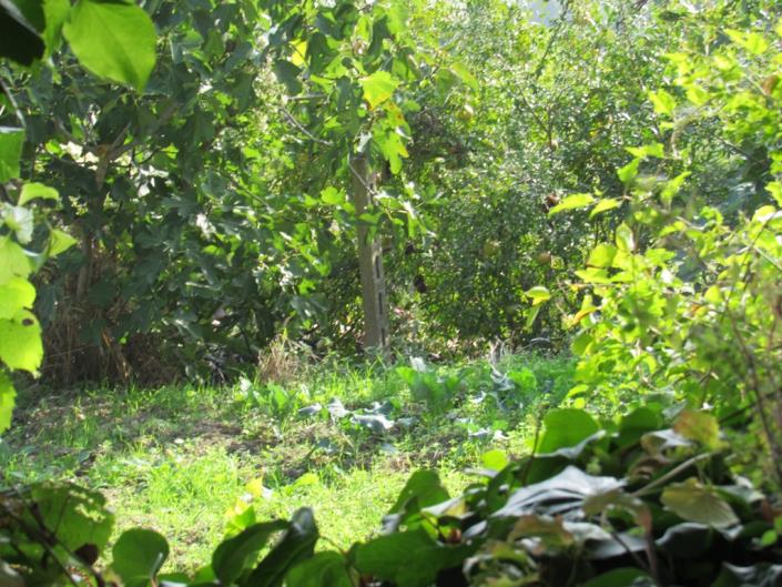 Image No.15-2 Bed Country House for sale