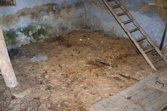 Image No.8-Maison de campagne de 9 chambres à vendre à San Vito Chietino