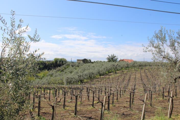 Image No.12-Maison de campagne de 9 chambres à vendre à San Vito Chietino