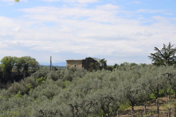 Image No.1-9 Bed Country House for sale
