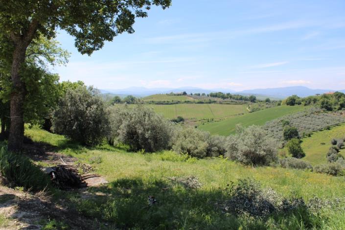 Image No.2-Maison de campagne de 1 chambre à vendre à Casalbordino