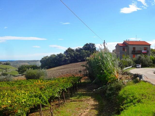 Image No.14-Maison de campagne de 8 chambres à vendre à Casalbordino