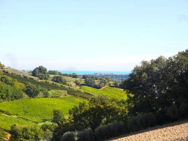 Image No.15-Maison de campagne de 8 chambres à vendre à Casalbordino