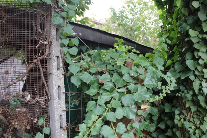 Image No.17-2 Bed Townhouse for sale